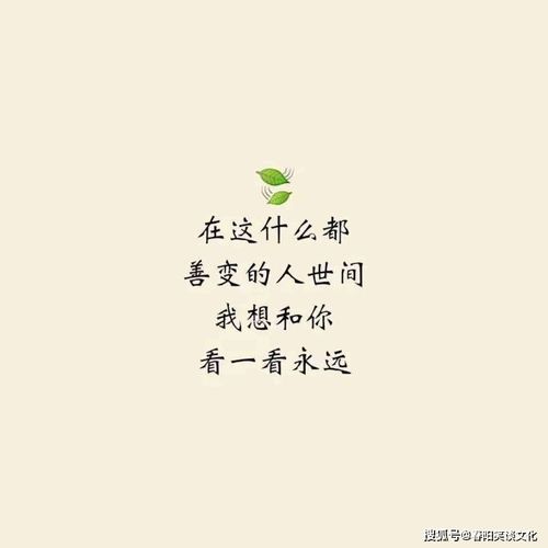 抖音100句扎心语录(抖音文案扎心的伤感文案)