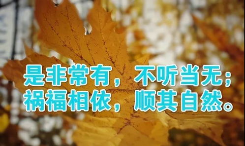 失眠伤感文案句句扎心(失眠图片大全伤感图片)