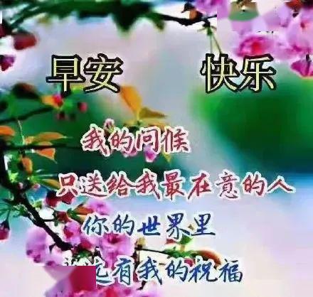 送给出院的病人祝福语(病人简单的祝福语大全)