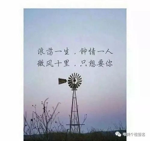 关于毕业的句子伤感短句(关于毕业的伤感语句)