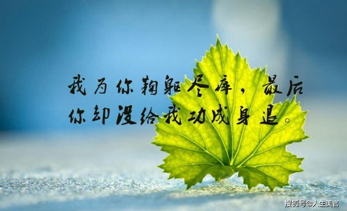 心情特别低落的句子(暗示心情低落的句子)