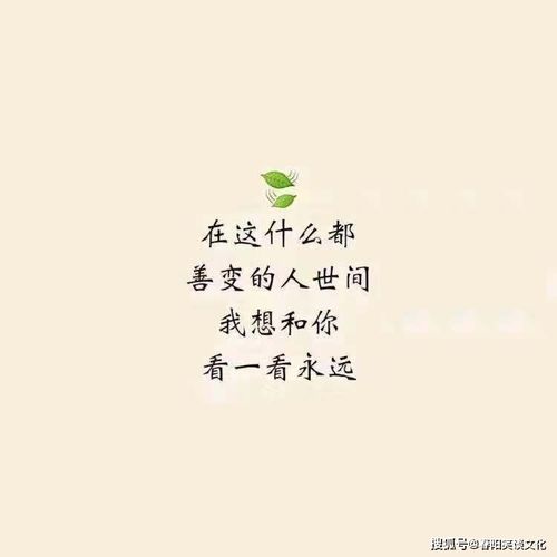 抖音情感热门的搞笑文案(抖音热门情感语录)