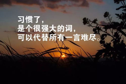 每日清晨励志一句话(人生格言早安经典语录)