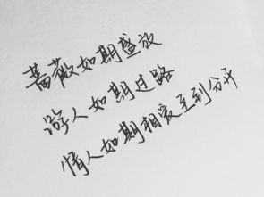 唯美句子摘抄大全100字(唯美句子摘抄大全名家)