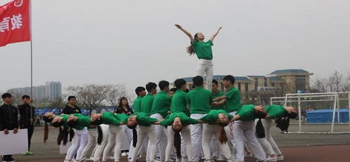 广播体操口号大全最火(广播体操口号女生)