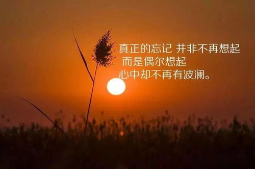 深夜文案简短走心的句子(适合深夜发朋友圈的走心句子)