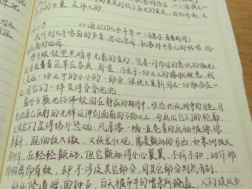 优美句子摘抄100字加赏析(优美的句子摘抄及赏析)