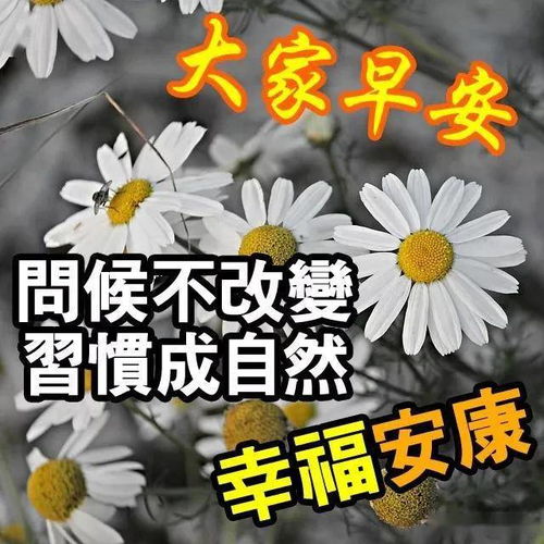 祝愿别人未来美好的句子(表达美好祝愿的优美句子)