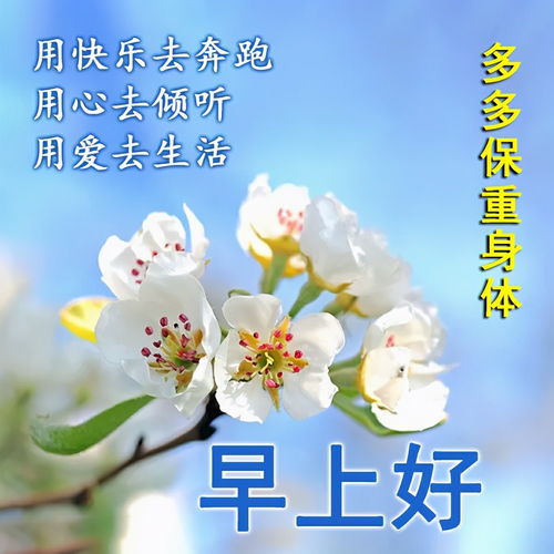 祝福生个儿子的句子(祝福儿子适合发朋友圈的句子)