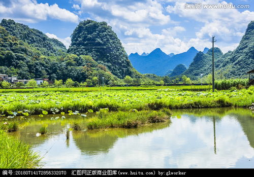 山水田园风光古诗词(描写山水田园风光古诗)