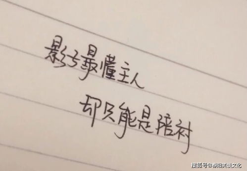 低调的句子简短(简短低调官宣句子)