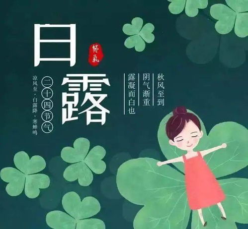 白露节气20字祝福语(宝宝白露生日祝福)