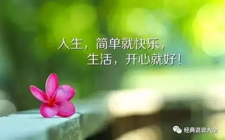 抖音经典句子祝福(抖音上祝福的语录)