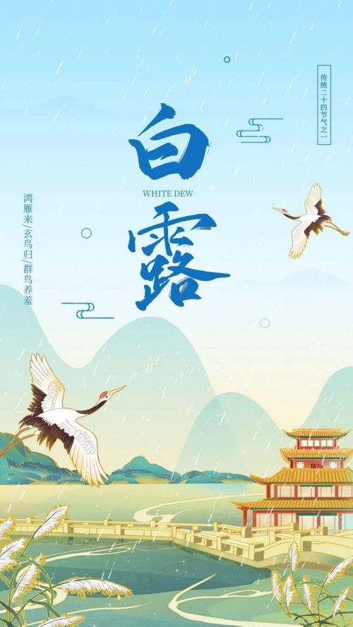 白露节气20字祝福语(宝宝白露生日祝福)