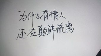 心情好正能量短句(经典句子句句精辟励志)