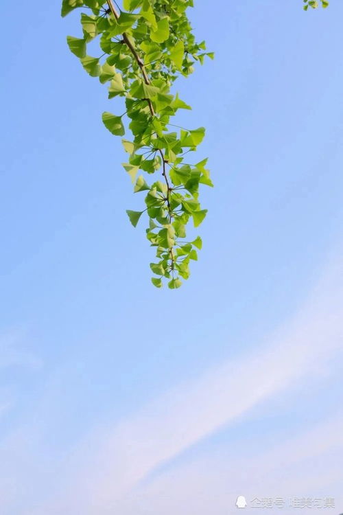 伤感的句子带人生感悟图片(感慨人生无奈伤感的诗句)