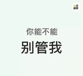 被自己喜欢的人伤了的句子(被在乎的人伤害的句子)