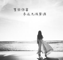 心情句子说说心情短语(适合各种心情的经典唯美句子)