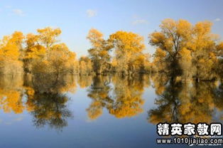 形容城市夜晚灯火辉煌的句子(形容城市夜晚美景的句子简短)