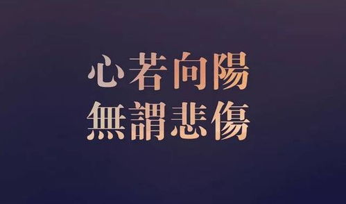 朋友圈正能量文字说说大全(正能量说说朋友圈句子)