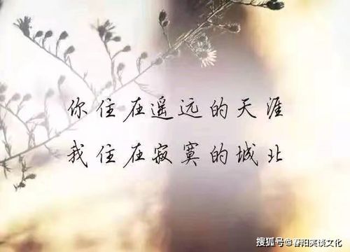 心情低落时的伤感句子(心情特别不好发朋友圈说说)