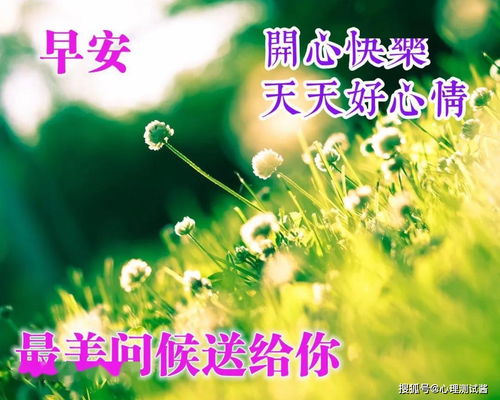 病人康复祝福语图片(给病人发早安问候带字图片)