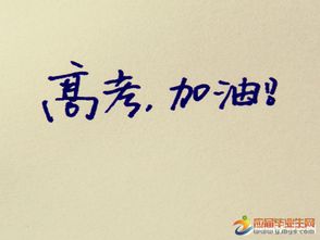 业绩加油口号霸气押韵八字(青春活力口号霸气押韵幽默)