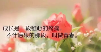 感悟人生的哲理短句(感悟人生的哲理短句子)