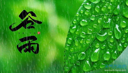 谷雨短词句(谷雨节气简短祝福语)