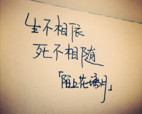 关于青春爱情的文案(描写青春爱情优美句子)