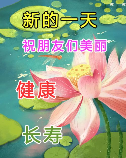 天气渐渐回暖祝福语(天气寒冷风大的祝福语)