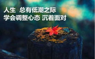 励志短句正能量文案(正能量励志语录短语简短)