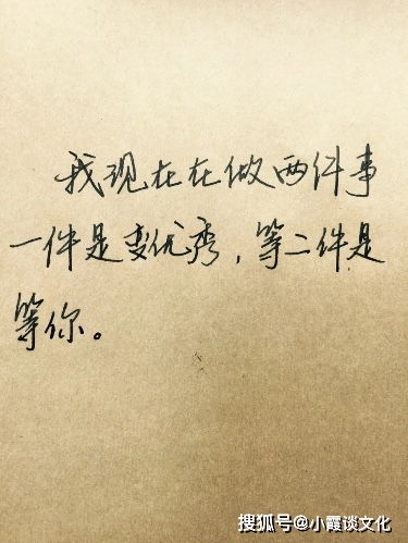 让人感动的爱情文案(最让人感动的爱情句子)