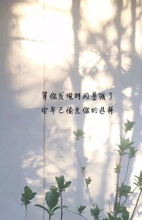 对感情彻底失望的伤感签名(伤感压抑心累的日志)