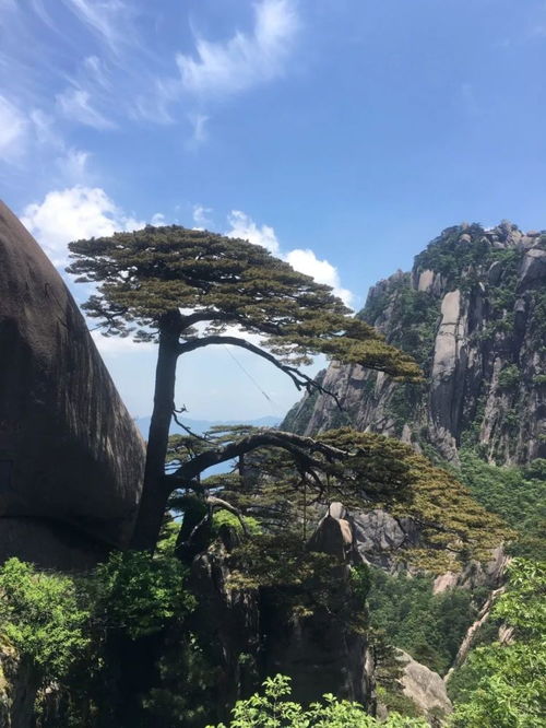 中国最美旅游胜地排行 十大名山