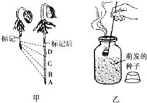 动植物的组织是由形态相似.结构.功能相同的细胞联合在一起形成的.人体有上皮组织.肌肉组织.结缔组织.神经组织四种基本组织. 题目和参考答案 青夏教育精英家教网 