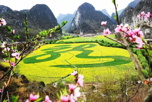 贵州安顺有什么好玩的景点 旅游攻略来了