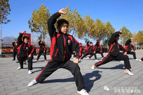 到了习武的年龄,就给孩子找个武术学校吧