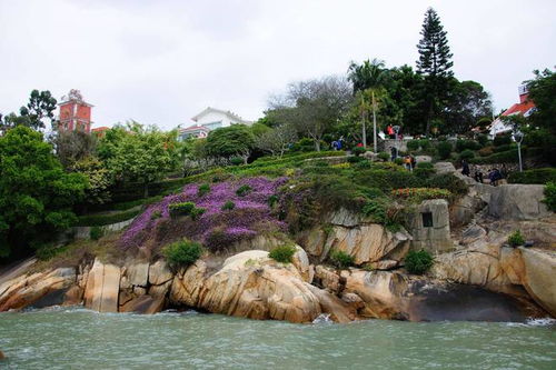 厦门最适合带孩子去玩的景点,厦门旅游景点排行榜前十名