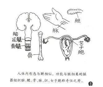 疫情过后,每个人都该懂点中医防身