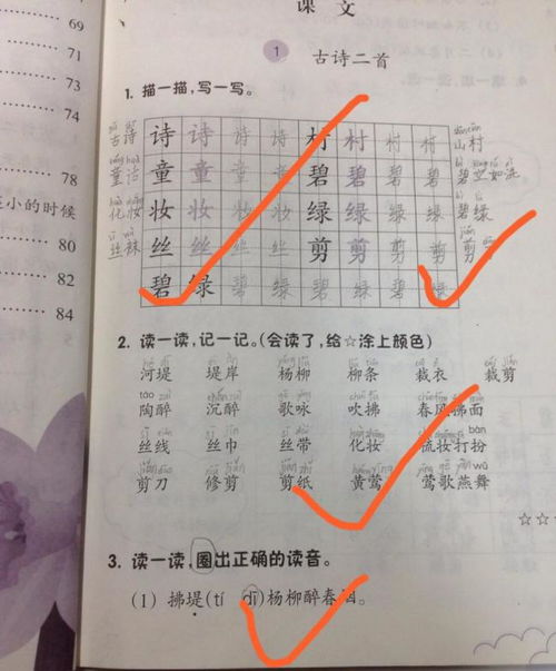 闪闪红 星 五常小学 线上学习之星 评选活动之二年级专场