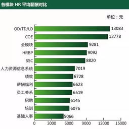 凭什么会一点TD的HR,月薪是普通HR的3倍