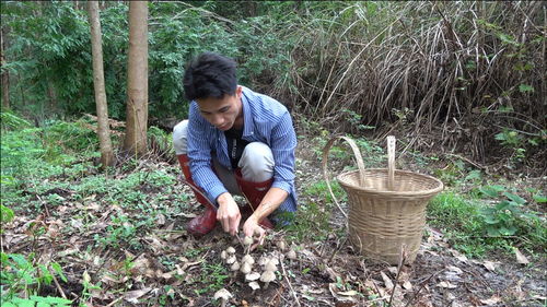 农村做这生意真挣钱,小莫开工半小时就赚了一百块,销路好不愁卖 