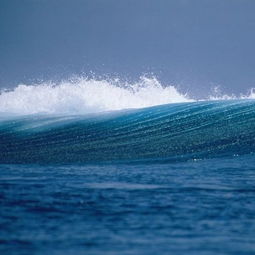 83大海水命人最旺颜色