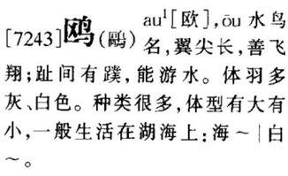 鸥字的白话 广州话 同音字有哪些 