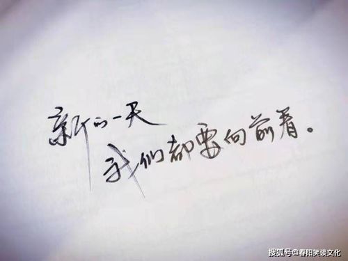 冷暖自知的短句子,精选的心情文字,总有几句写进你的心坎里