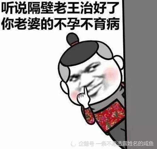 无标题