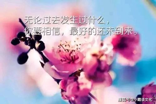 2023最火最流行的心情说说,唯美有深意,发朋友圈攒人气