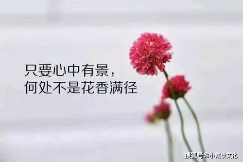 简短精辟的励志说说,阳光向上,句句激励人心