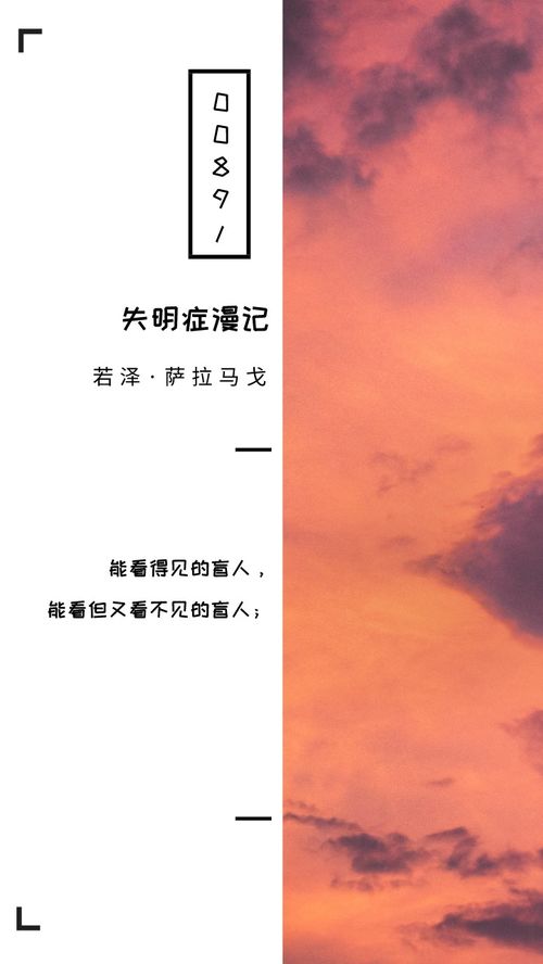 失明症漫记 十句经典句子